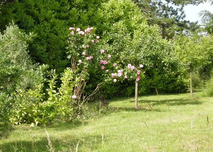 Chateau De Cartou Nocleg ze śniadaniem 3*