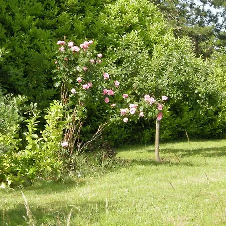 Chateau De Cartou Bed & Breakfast *