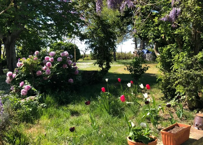 Chateau De Cartou Bed & Breakfast